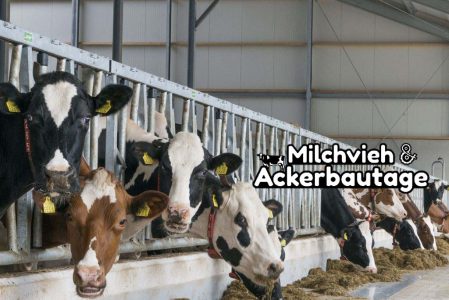 Melkvee- en Akkerbouwdagen Münster-Nienberge