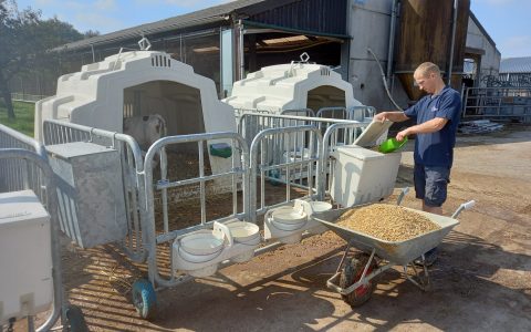 (Nederlands) TDB Holsteins (Thomas de Brabander), Profondeville, (BE) (français)